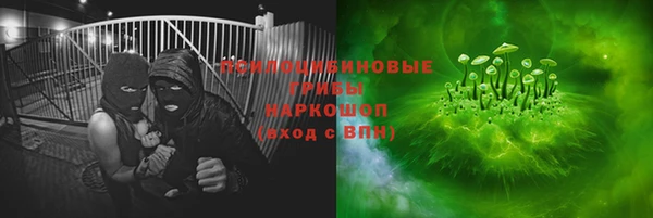молекула духа Алзамай