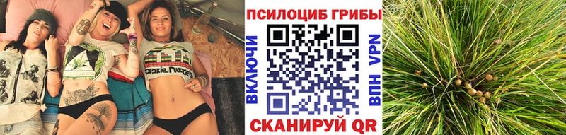 как найти закладки  Абинск  Галлюциногенные грибы мицелий 